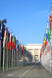 Senior Diplomat English Tutor